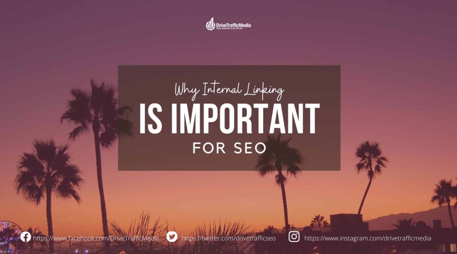 importance-of-internal-links-according-to-an-seo-expert-in-los-angeles