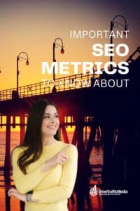 How-do-you-measure-the-effectiveness-of-your-santa-monica-SEO-tactics-Pinterest-Pin